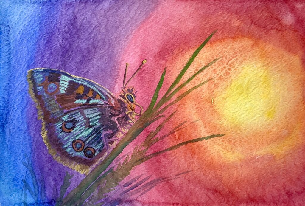 41-Aquarell 51x34 cm.