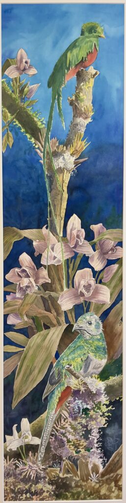 69-Aquarell 130x33 cm.