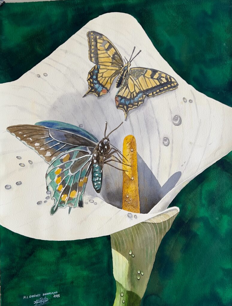 66-Aquarell 76x56 cm.