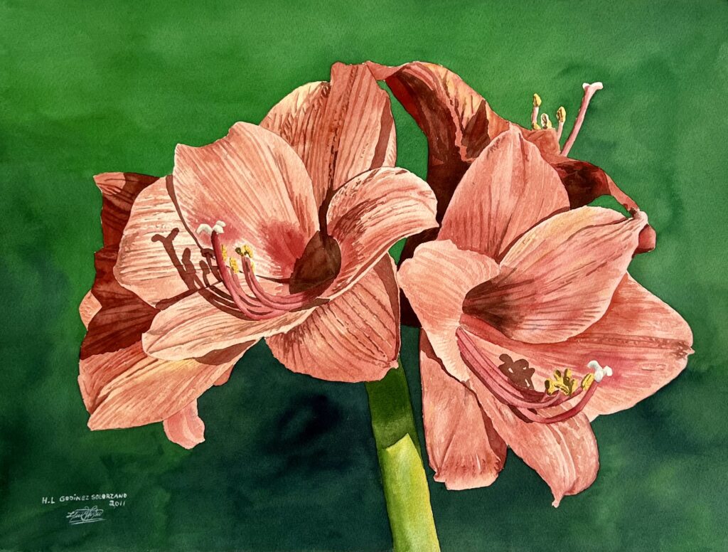 47-Aquarell 61x46 cm.