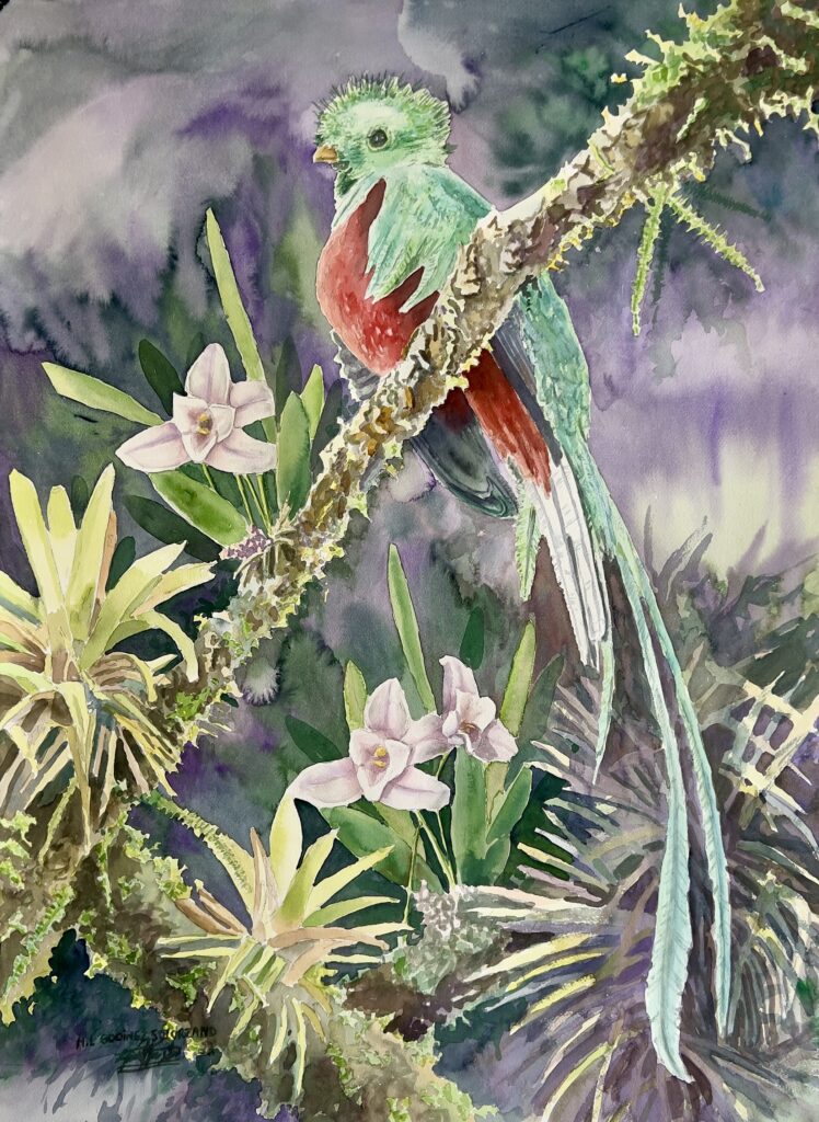 63-Aquarell 76x56 cm.