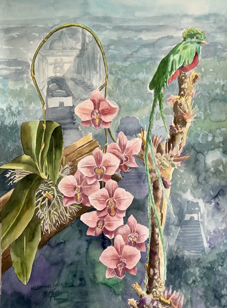 64-Aquarell 76x56 cm.