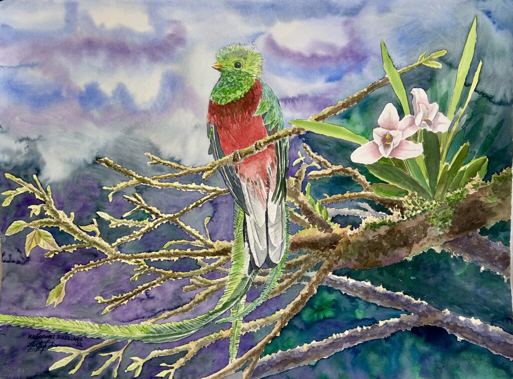 65-Aquarell 76c56 cm.